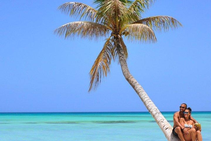 Saona Island Day Trip from Punta Cana with Lunch Included