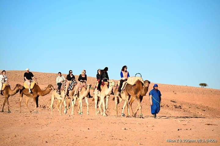 Agafay Desert Adventure with Quad Biking and Camel Ride