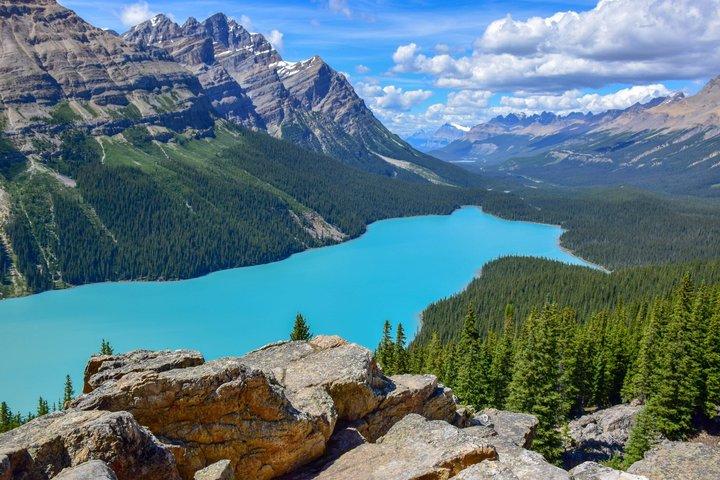 Sunwapta, Athabasca Falls, Peyto, Bow Lake, Icefield Parkway
