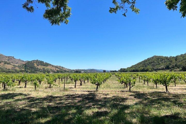 Napa Valley Wine Country Self Guided Driving Tour