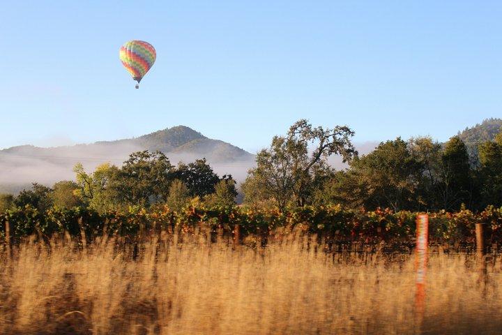 Napa Valley Wine Country Self Guided Driving Tour