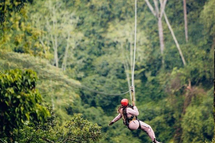 1-day Nyungwe N.P Adventure : Canopy Walk and Zipline Included
