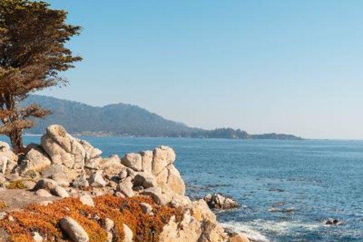 17 Mile Drive eBike Tour in Monterey