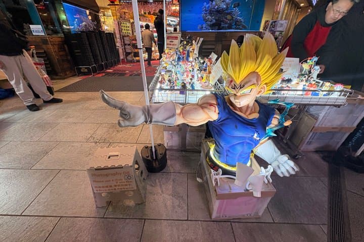 Tokyo Private Akihabara Anime Manga Walking Tour with Hidden Gems