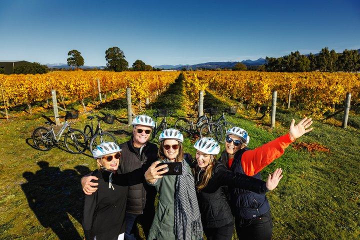 Self-Guided Biking Wine Tour (full day) in the Marlborough Region.