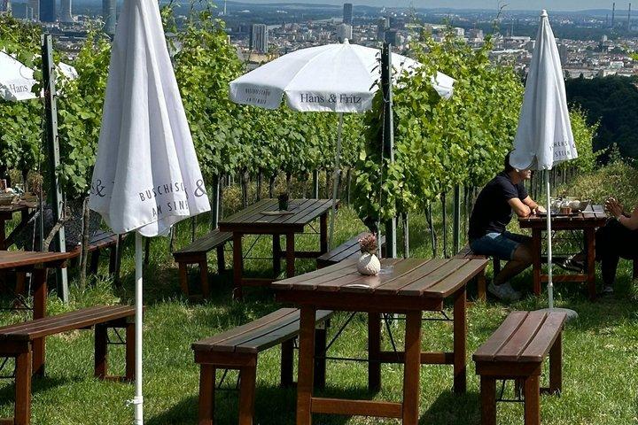 Vienna Wine & Vineyard Walk 2,5: Above the Rooftops (DE/EN)
