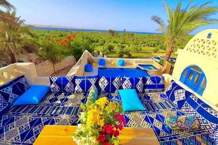 Fayoum Oasis & Waterfalls and 4x4 desert Day Tour from Cairo