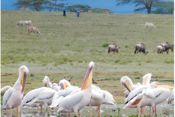Lake Naivasha and Hellsgate day tour from Nairobi