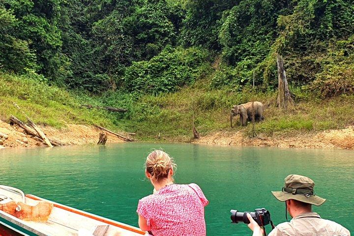 Krabi: All-Inclusive Cheow Lan Lake, Diamond Cave, Hike, Kayak