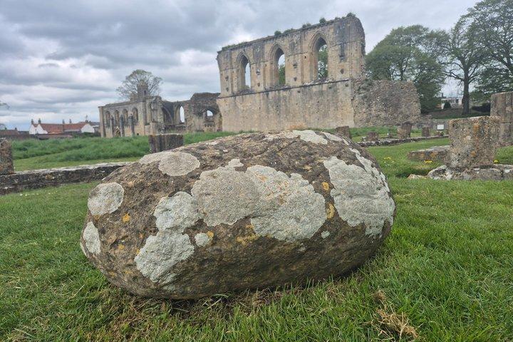 Glastonbury Sacred Sites and Dragons Private Day Tour