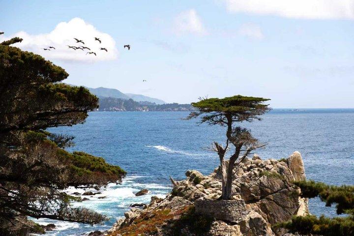 San Francisco, Yosemite & 17-Mile Drive 3-Day Tour from LA
