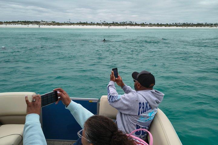 Exciting Private Dolphin Excursion to Shell Island 90 Minutes