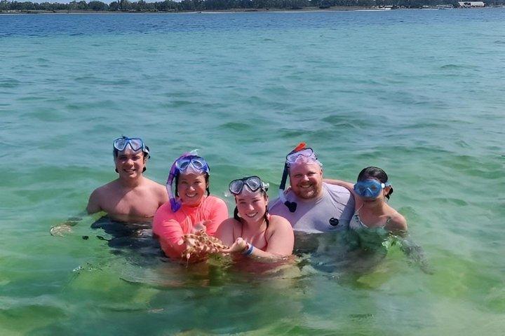 2 Hour Private Dolphin Tour at Panama City Beach