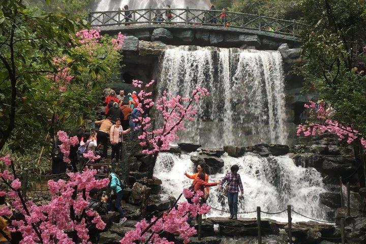 Private Day Tour to Gulong Canyon Glass Bridge from Guangzhou