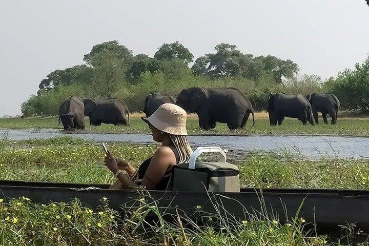 1 Day Okavango Delta Mokoro/Canoe Daytrip