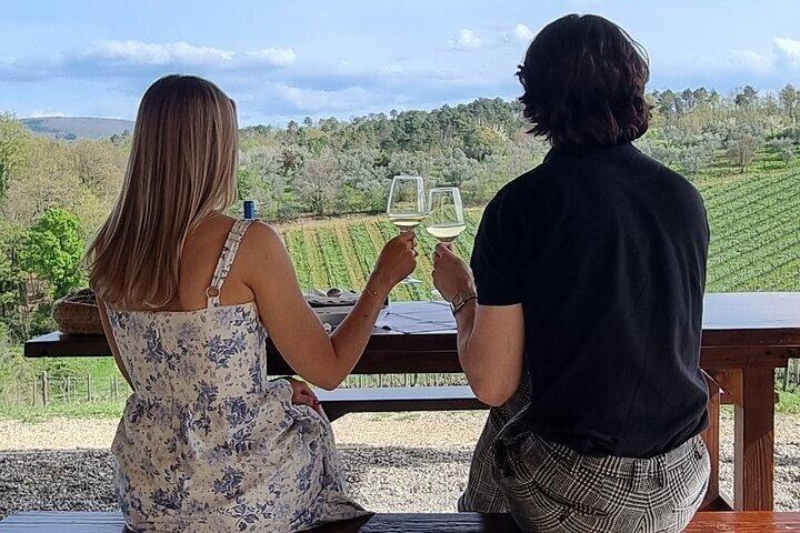 Private Chianti Classico Wine Tasting Tour in Two Family Wineries