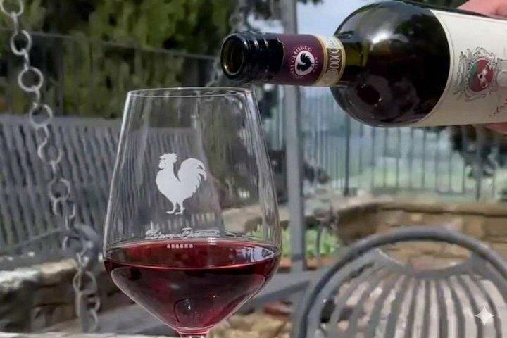 Private Chianti Classico Wine Tasting Tour in Two Family Wineries