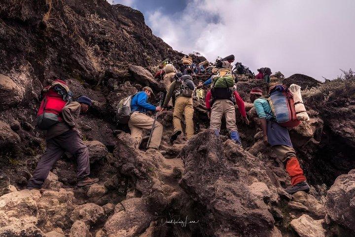 5-Day Mount Kilimanjaro Climb via Marangu Route