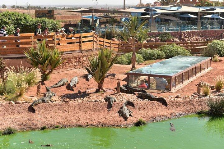 Agadir Crocoparc tickets with pick-up and drop-off All-Inclusive