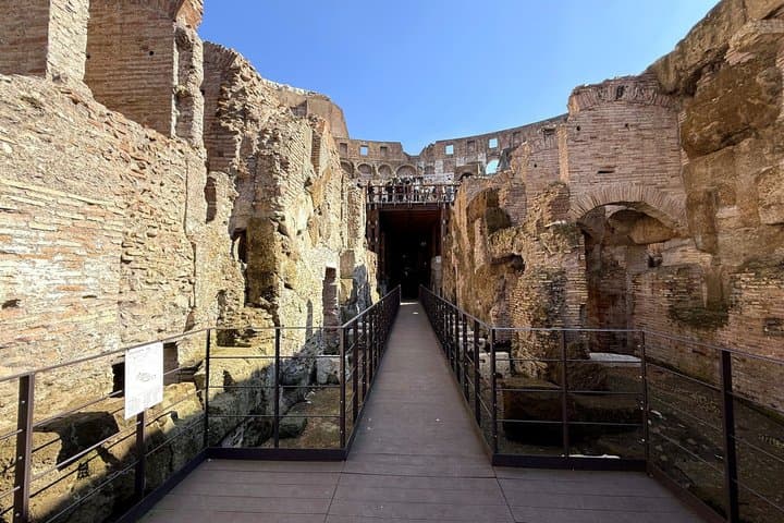 Rome Colosseum Underground Forum and Palatine Hill Tour