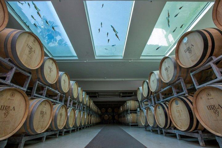 Urla Wine & Olive Oil Tasting Tour – Private Day Trip from Izmir
