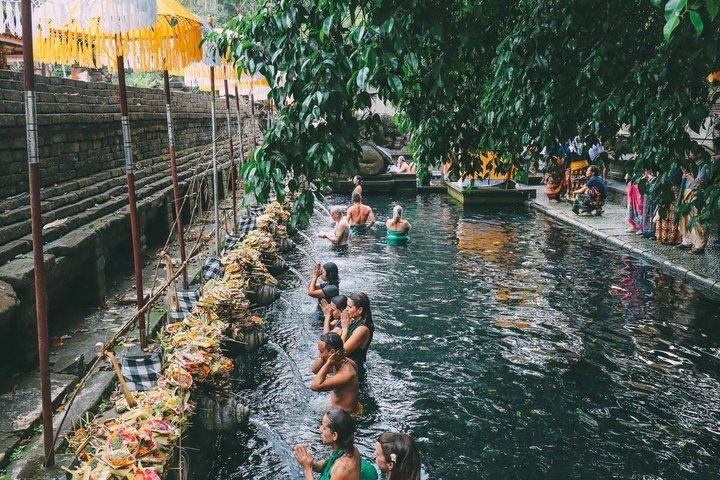 Ubud Tour Monkey Forest, Water Temple, Waterfall, Rice Terrace