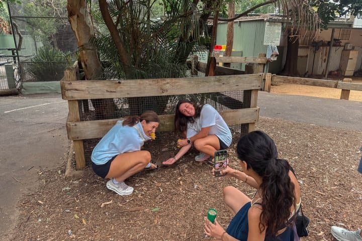 Blue Mountains Private Tour: Scenic World, Wildlife & Koala Photo