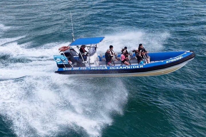 Noosa ocean adventure & Dolphin safari.