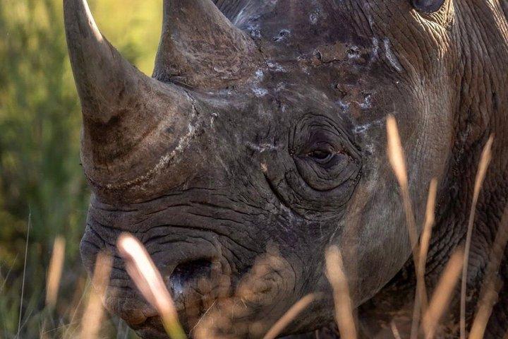 From Nairobi: 4 Days 3 Nights Masai Mara Lake Nakuru Safari