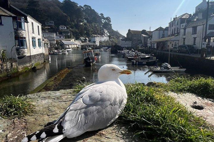 Fowey, Looe & Polperro Mining, Fishing & Smuggling Cornwall Tour