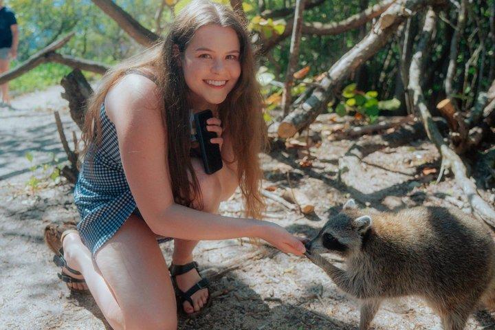 Miami: Guided Raccoon Island Walk & Sandbar Swim (2 Stops)