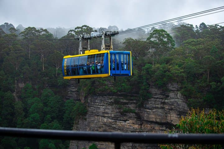 Blue Mountains Private Tour: Scenic World, Wildlife & Koala Photo