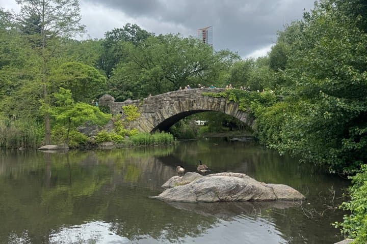 1 hour Discover Central Park Tour on Pedicab
