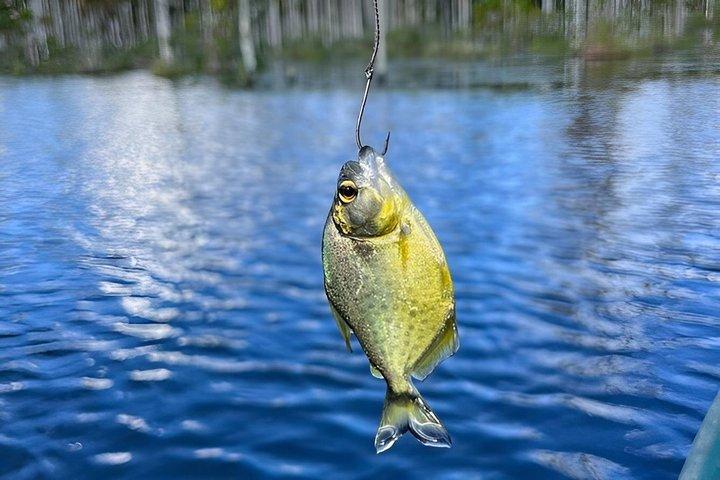 From Puerto Maldonado Piranha Fishing Adventure at Yacumama Lake