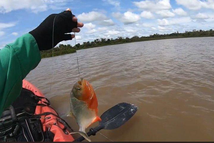 From Puerto Maldonado Piranha Fishing Adventure at Yacumama Lake