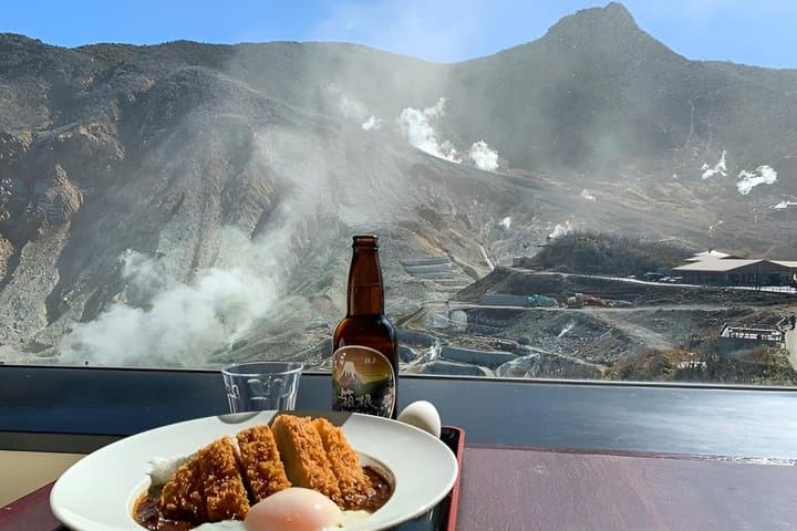 Mt. Fuji & Hakone Private Day Tour with English-Speaking Driver
