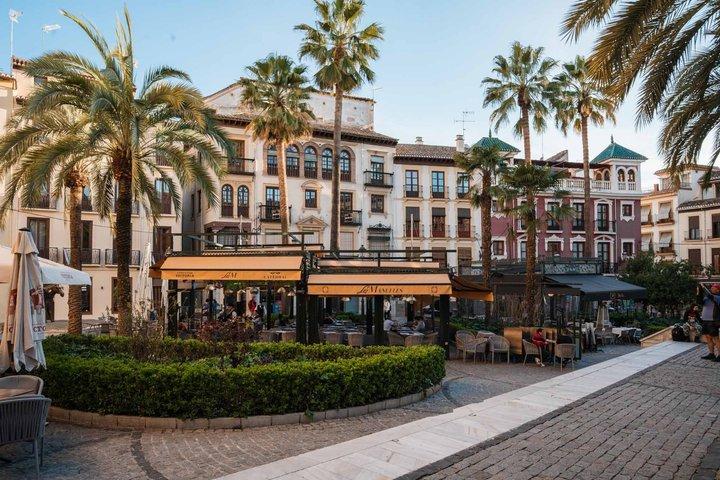 Gourmet Tapas and Wine Tour in Granada