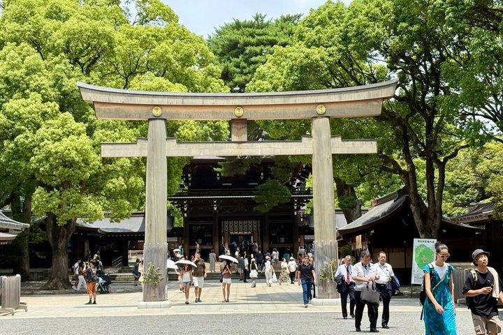 Tokyo Private Highlights Tour by Car with Local Guide