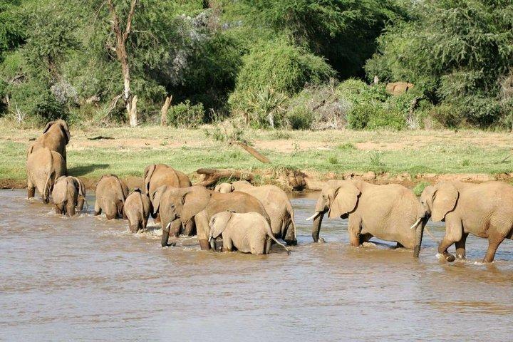 Kenya Safari 6-Day Shared Tour from Nairobi