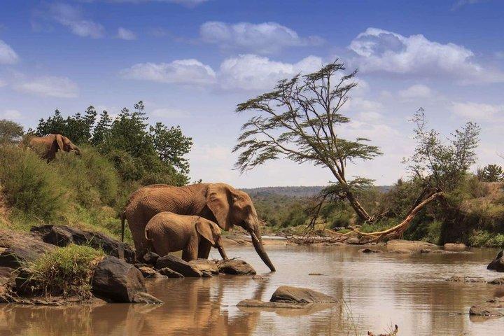Kenya Safari 6-Day Shared Tour from Nairobi