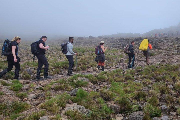Marangu route Kilimanjaro 5 days trek