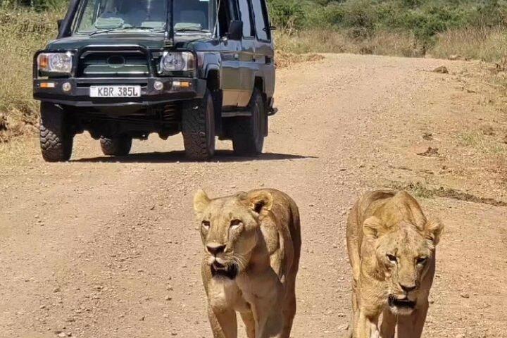 Nairobi: 5-Hour Nairobi National Park Safari Morning and Evening