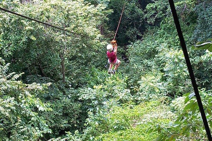 Small-Group Zipline Canopy Tour in Tamarindo's Jungle