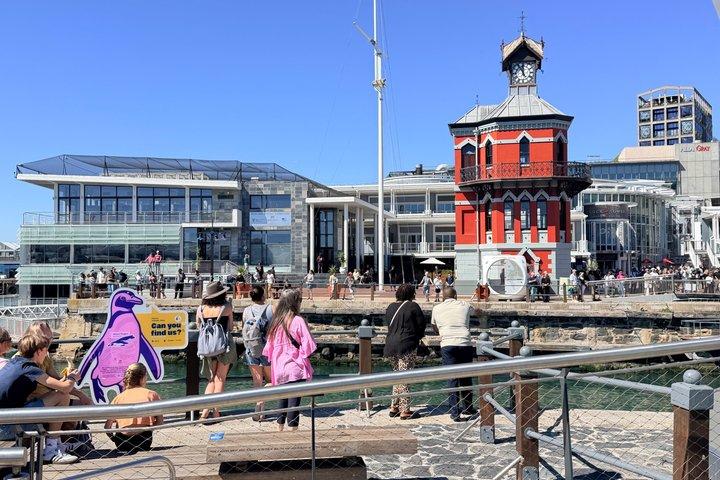 Robben Island Tour from Cape Town with Tickets and Transfers