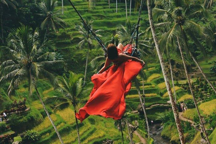 Bali Swing, Monkey Forest & Ubud Waterfalls - Private Tour