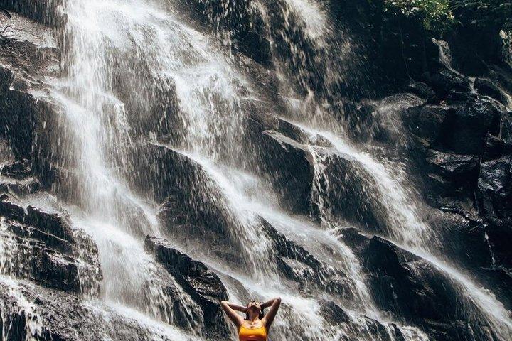 Tegalalang Rice Terrace, Monkey Forest & Waterfalls Tour