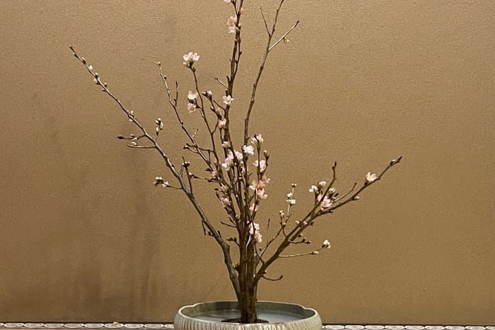 Private Machiya Tea Room & Ikebana Experience near Fushimi Inari