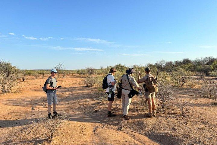 Mapesu Private Game Reserve Walking Safari