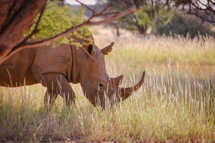 Okapuka Game Drive