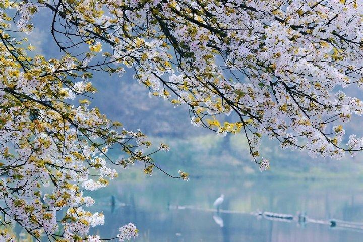 Hangzhou Private & Expert Tour Guide Service